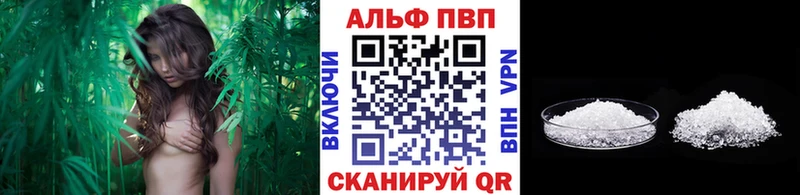 Как найти наркотики Семёнов Каннабис  СК  Гашиш 