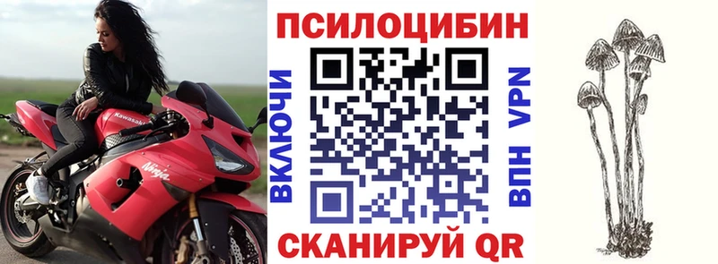 Псилоцибиновые грибы Cubensis  купить   Семёнов 